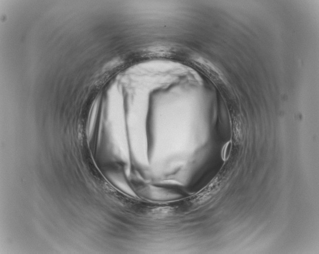 X0000072990551200608111809