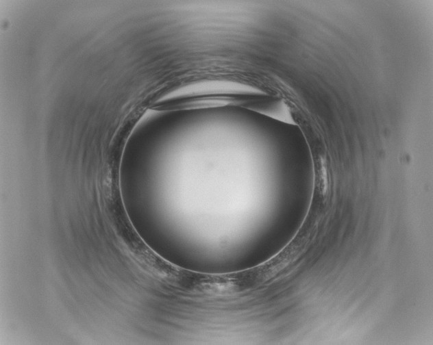 X0000072990552200608111809