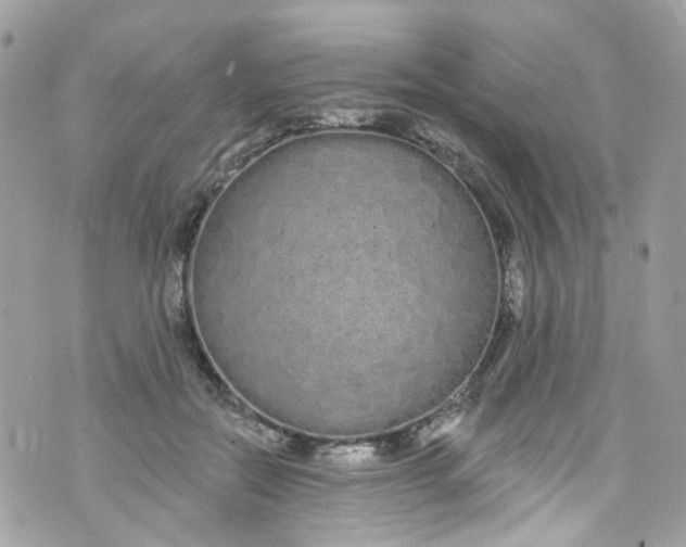 X0000072990554200608111810