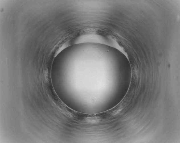 X0000072990556200608111810