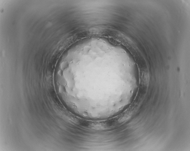 X0000072990557200608111810