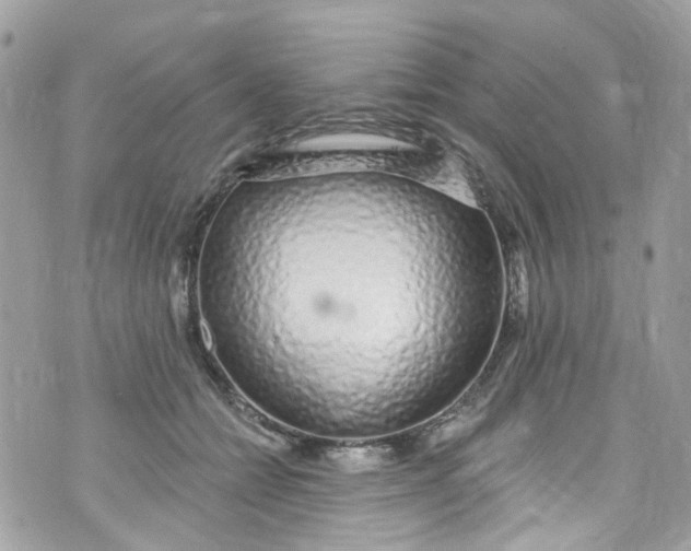 X0000072990558200608111810