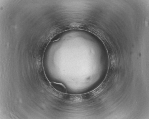 X0000072990559200608111810