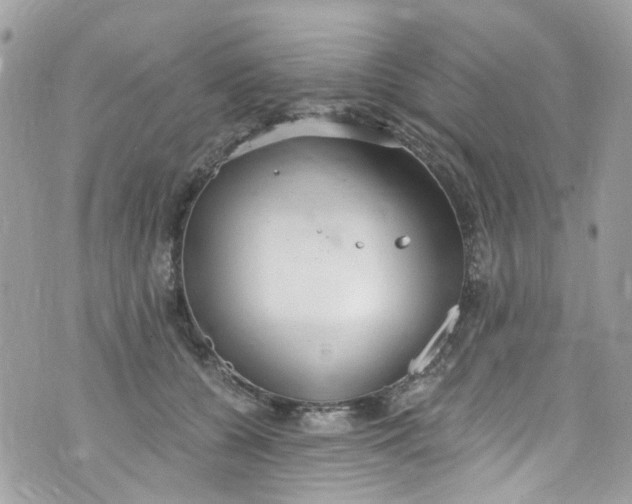 X0000072990560200608111810