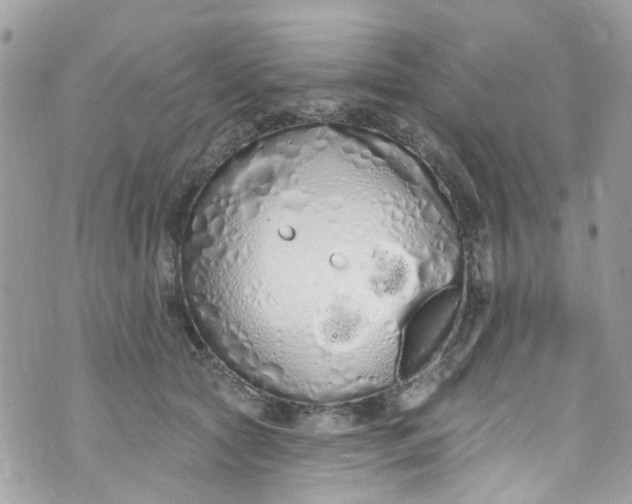 X0000072990561200608111810