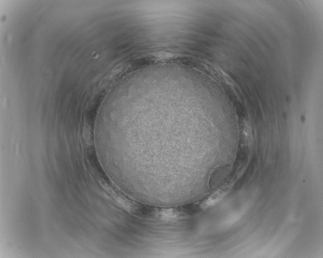 X0000072990565200608111810