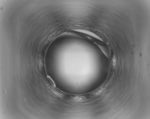 X0000072990566200608111810