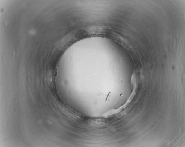 X0000072990567200608111810