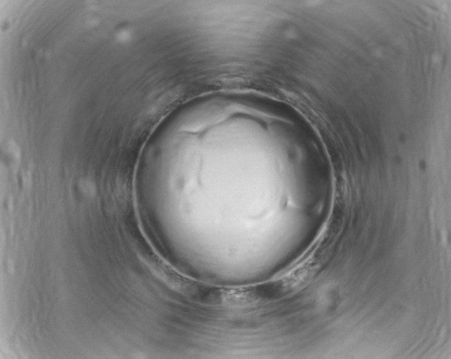 X0000072990568200608111810