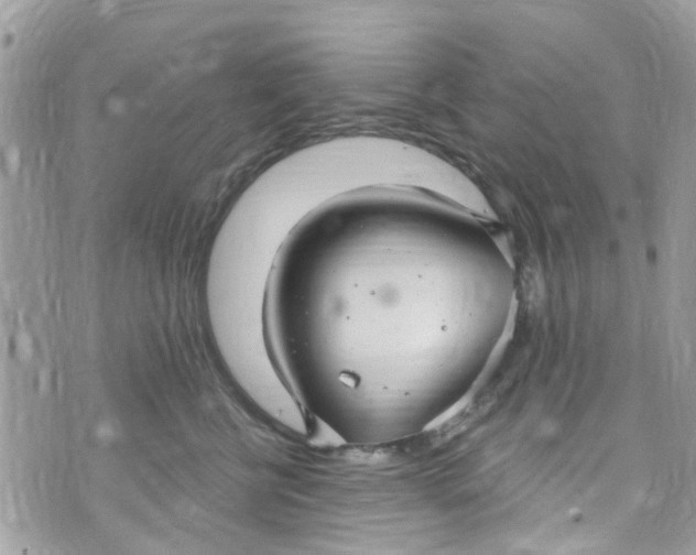 X0000072990570200608111810