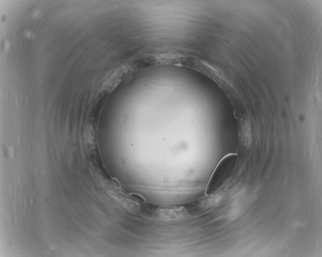 X0000072990571200608111810