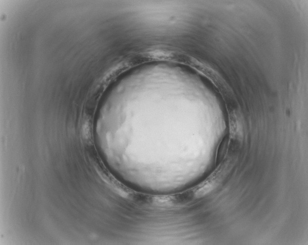 X0000072990573200608111810