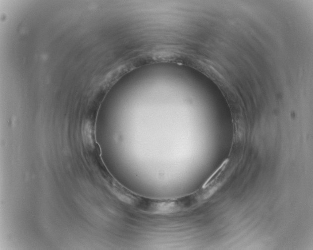 X0000072990575200608111810