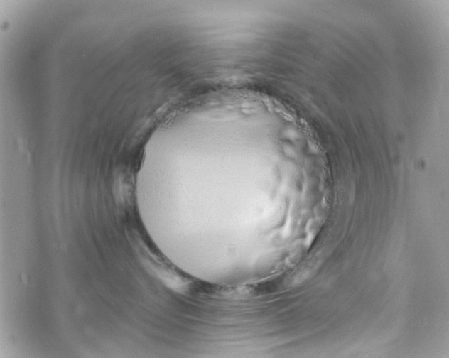 X0000072990576200608111810