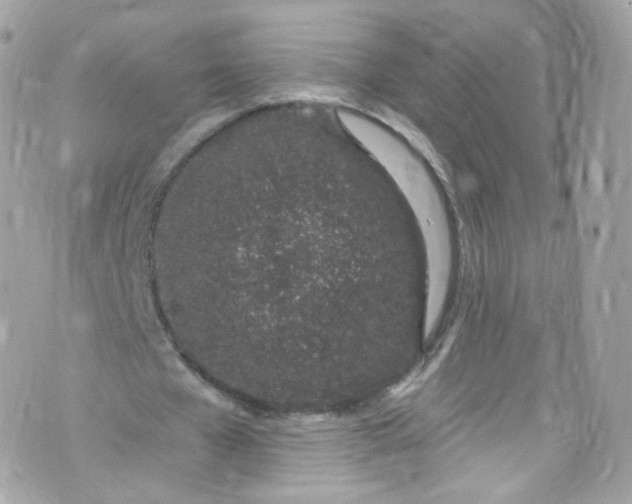 X0000072990577200608111809