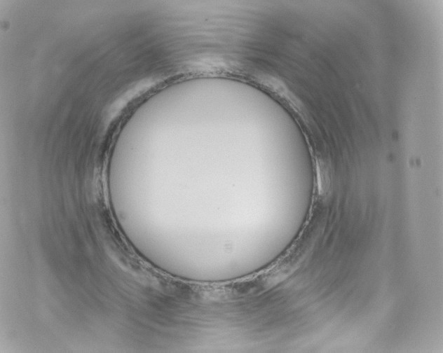 X0000072990579200608111809