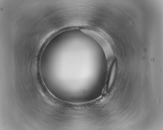 X0000072990580200608111809