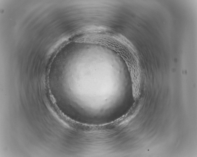 X0000072990581200608111809