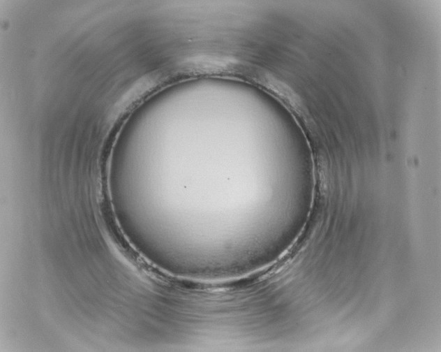 X0000072990582200608111809