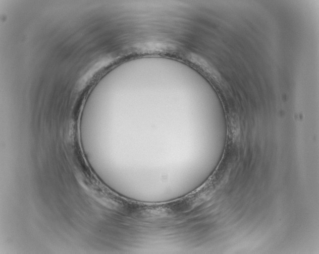 X0000072990583200608111809