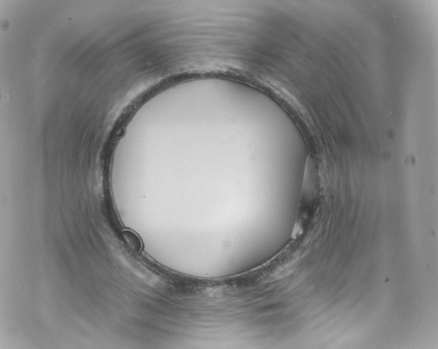 X0000072990584200608111809