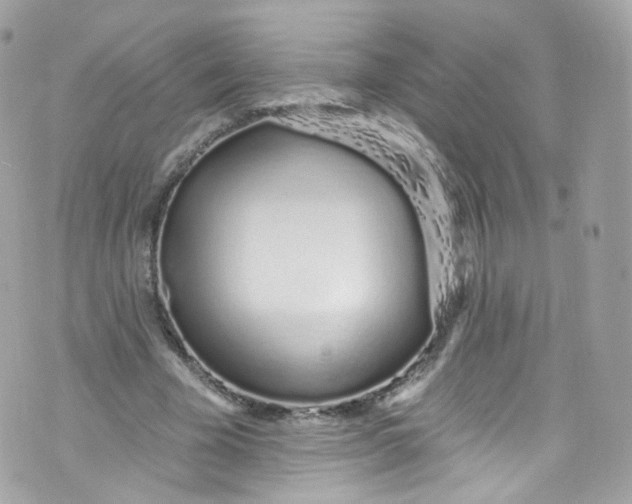 X0000072990585200608111809