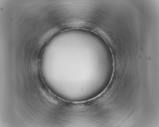 X0000072990586200608111809