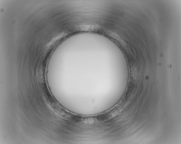 X0000072990587200608111809