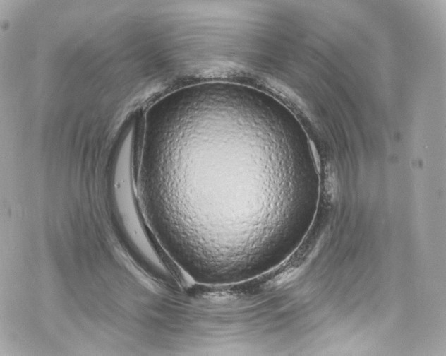 X0000072990589200608111809