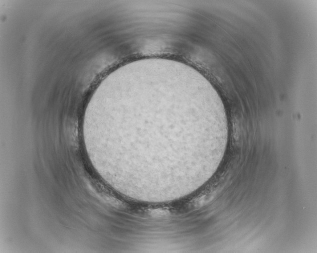 X0000072990592200608111809