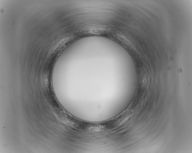 X0000072990595200608111809