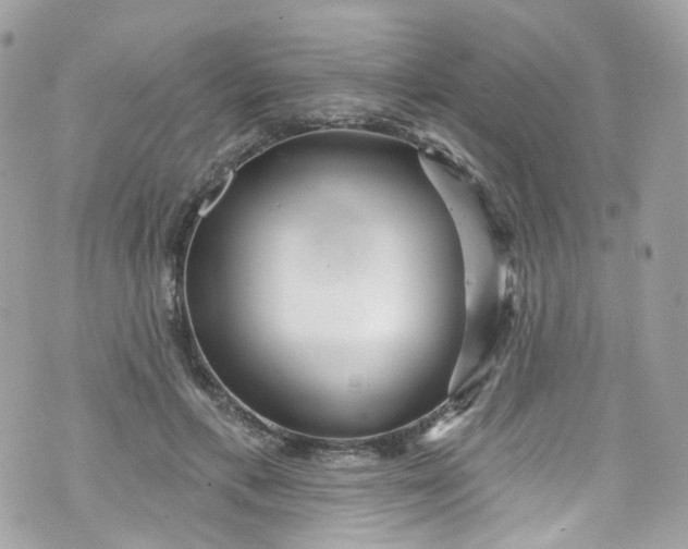 X0000072990597200608111809