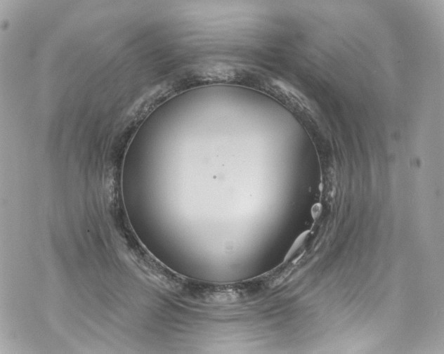 X0000072990600200608111809