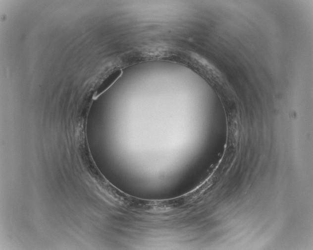 X0000072990601200608111809