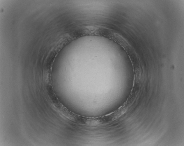 X0000072990602200608111809