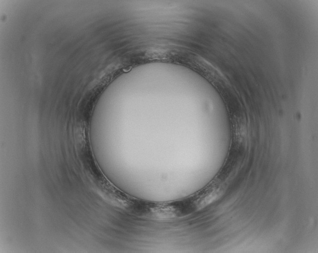 X0000072990603200608111809