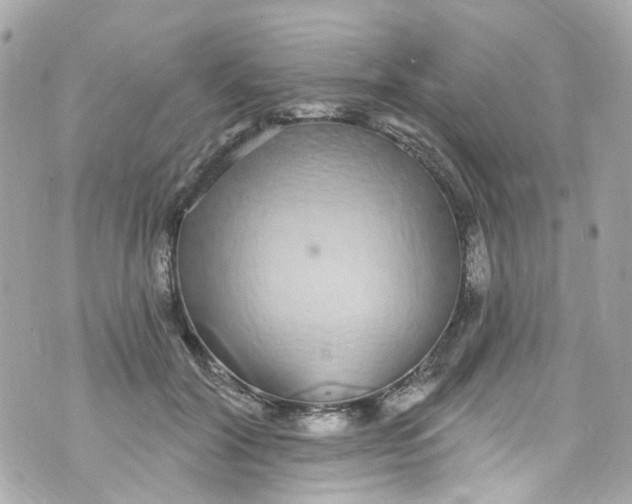 X0000072990604200608111809