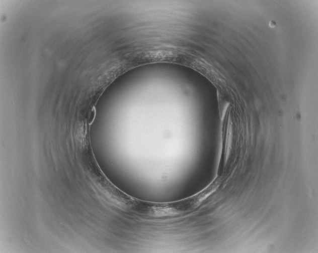 X0000072990605200608111809