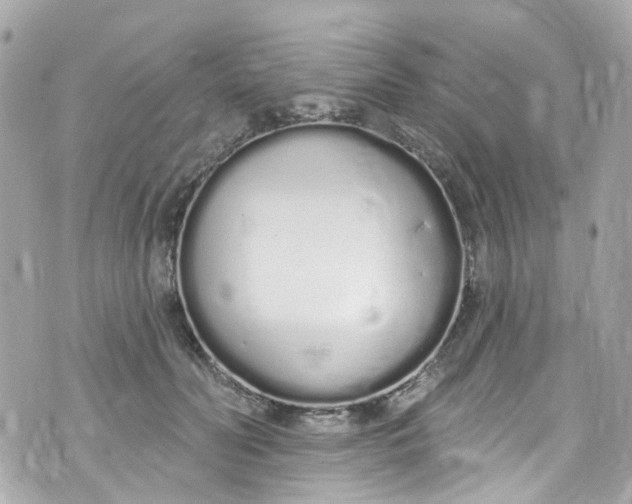 X0000072990606200608111809