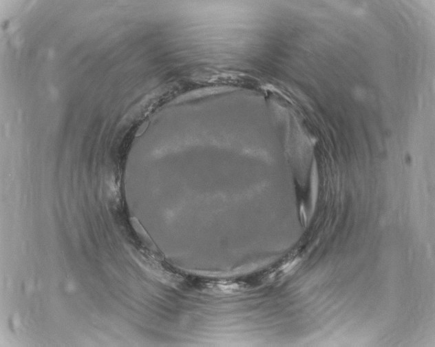 X0000072990607200608111809