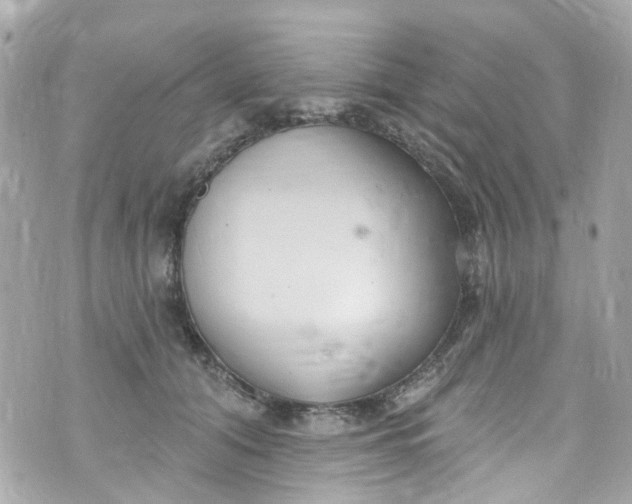 X0000072990608200608111809