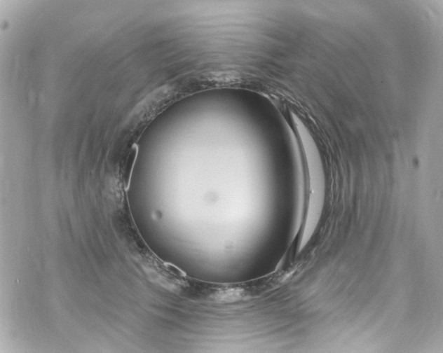 X0000072990609200608111809