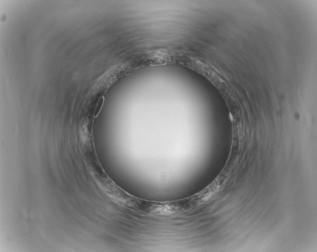 X0000072990611200608111809