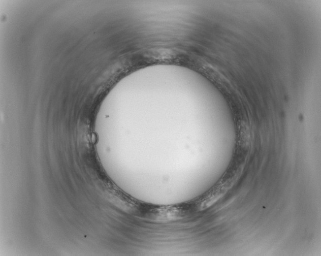 X0000072990612200608111809