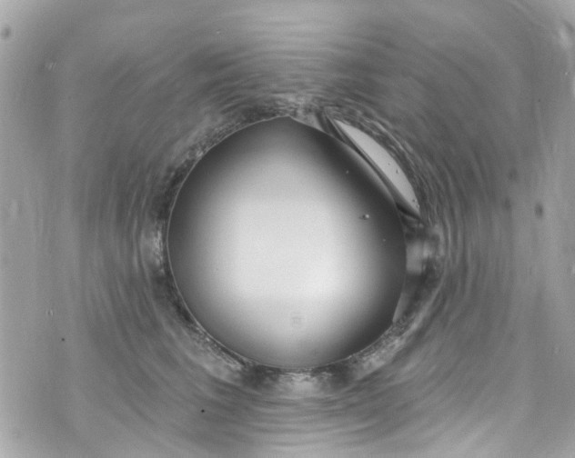 X0000072990613200608111809