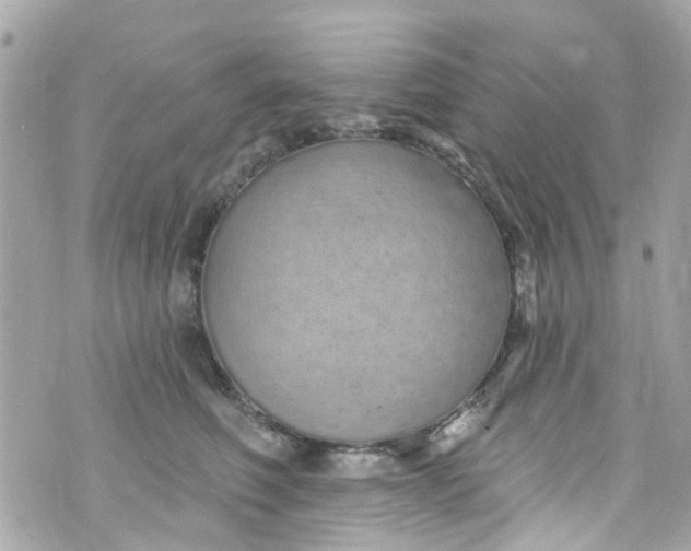 X0000072990614200608111808