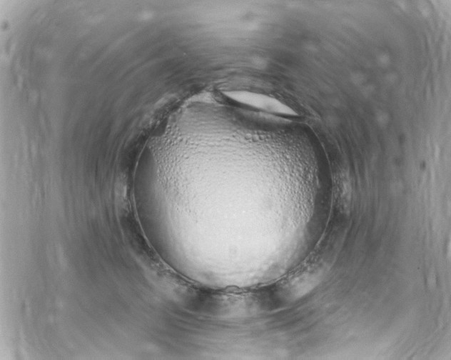 X0000072990615200608111808