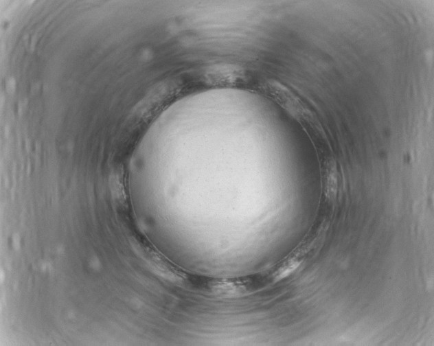 X0000072990616200608111808