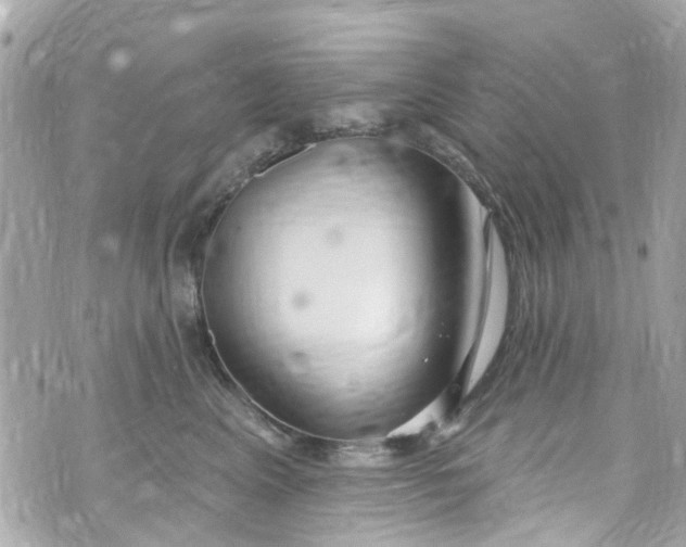 X0000072990617200608111808