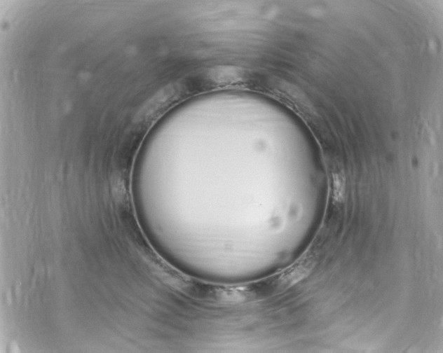 X0000072990618200608111808